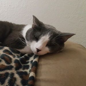 Meet your Posher, Louise